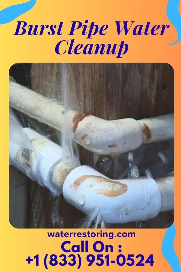 Burst Pipe Water Cleanup in St. Elmo, IL