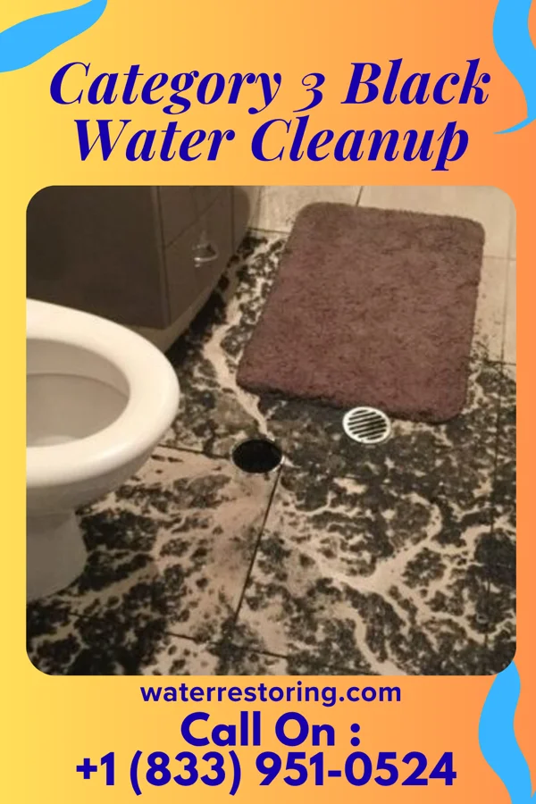 Category 3 Black Water Cleanup in St. Elmo, IL