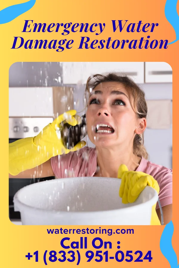 Emergency Water Damage Restoration in St. Elmo, IL
