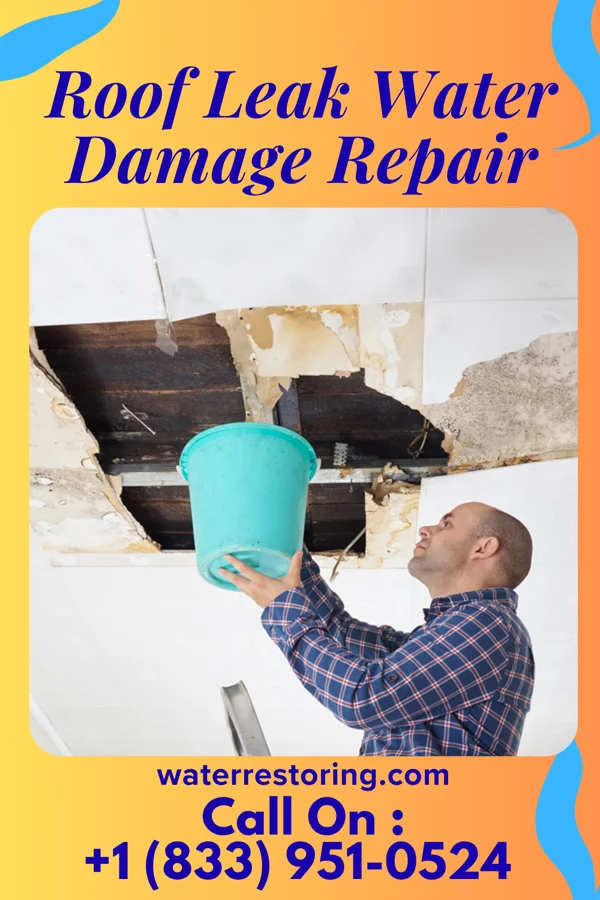 Roof Leak Water Damage Repair in St. Elmo, IL